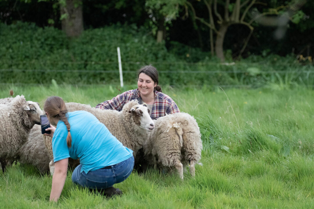 outdoor volunteering nanpantan hall sheep